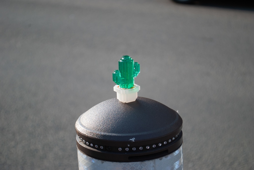 ボクセルサボテン