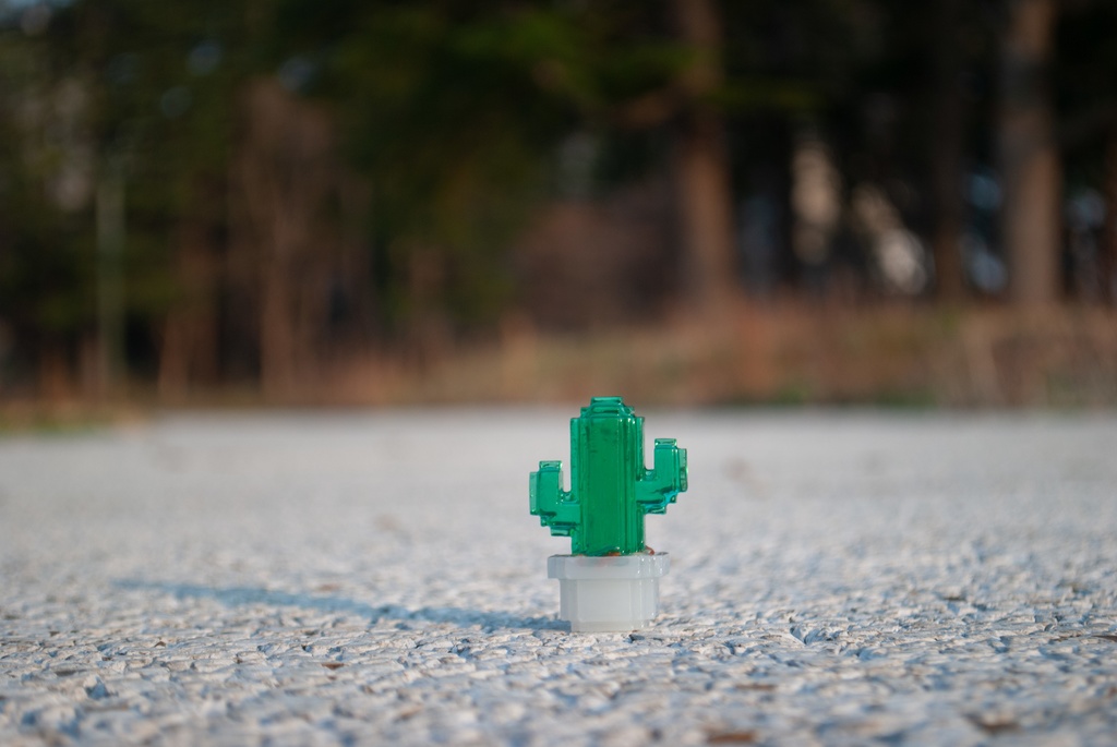 ボクセルサボテン