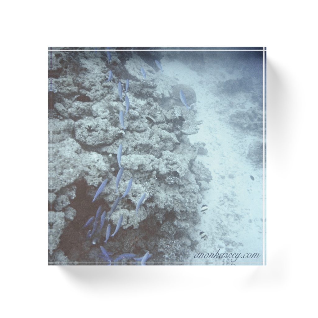 海中風景写真アクリルブロックA