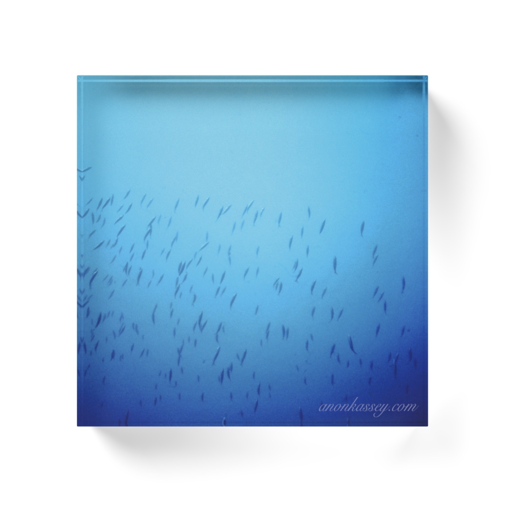 海中風景写真アクリルブロックB