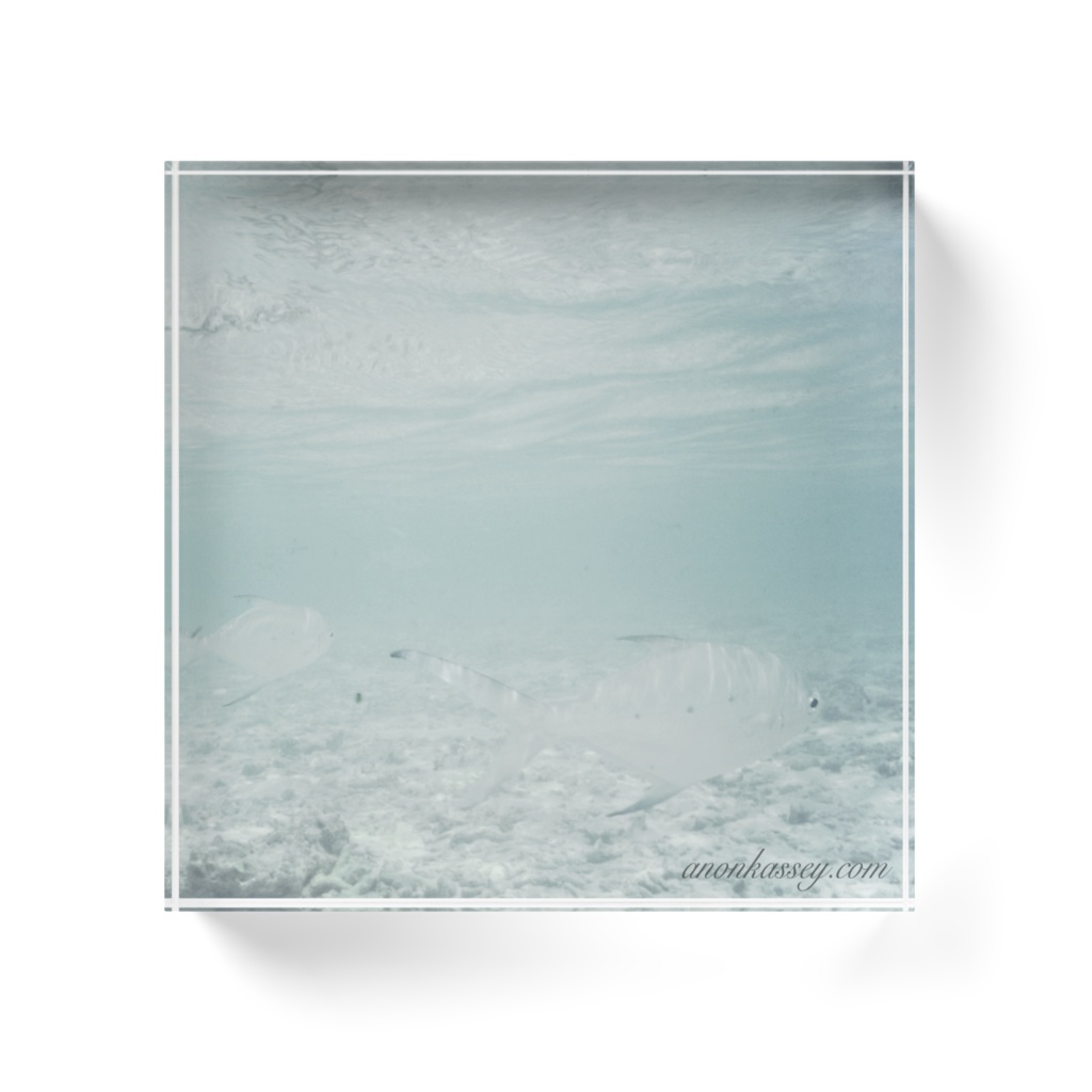海中風景写真アクリルブロックD