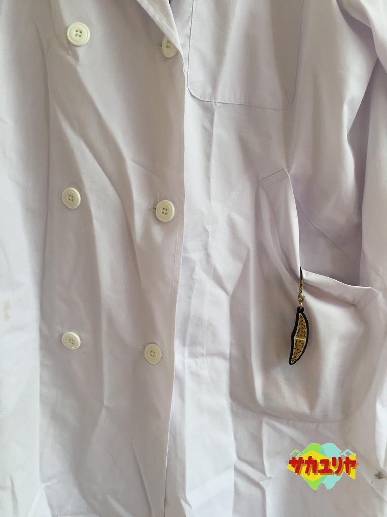 ミカヅキモのラバーストラップ/マグネット