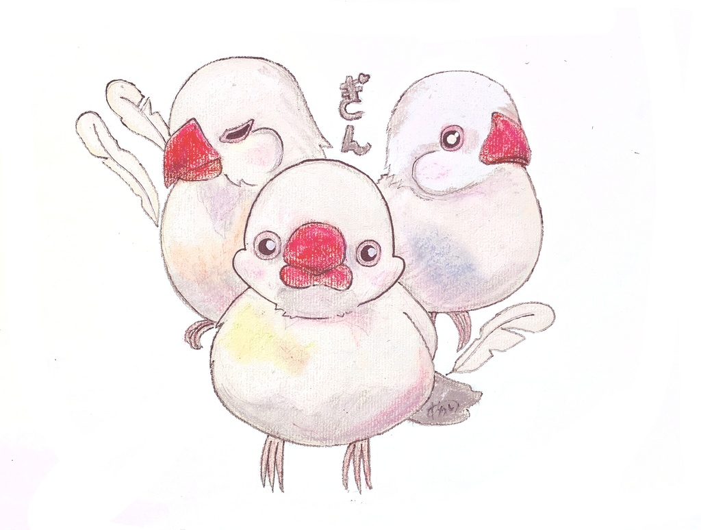 ぎんちゃんTシャツ