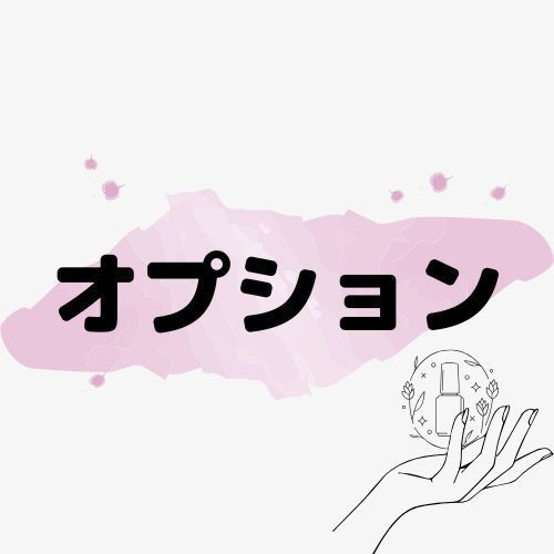 【!購入不可!】オプション一覧