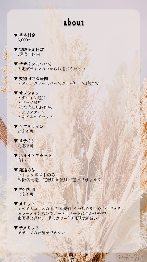 【2026/1/1~】カラーオーダーネイルチップ