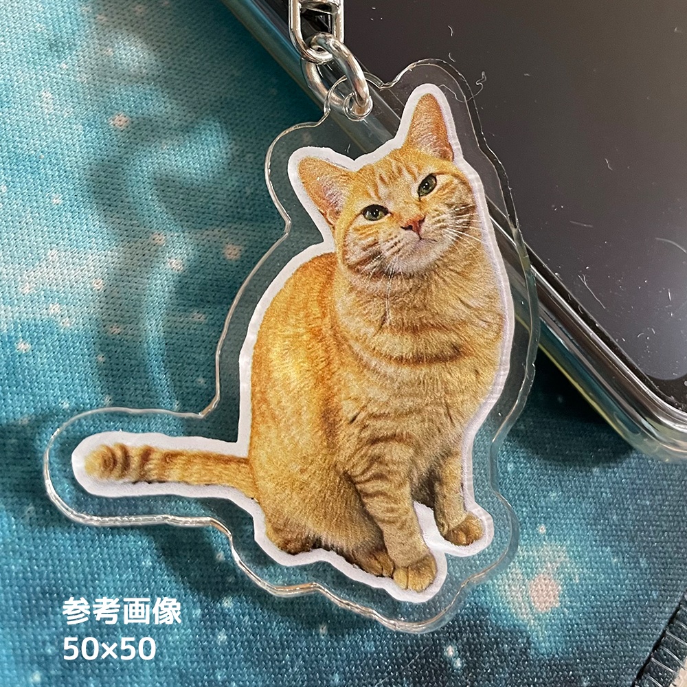 猫のまっちゃんアクリルキーホルダー【ぽちゃ猫部】