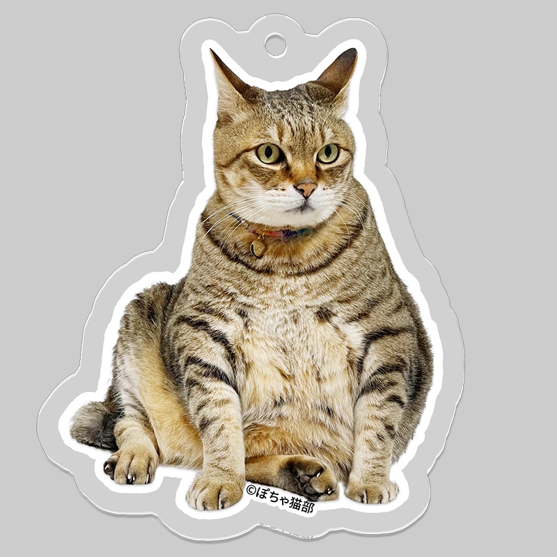 猫のパンちゃん・アクリルキーホルダー【ぽちゃ猫部】