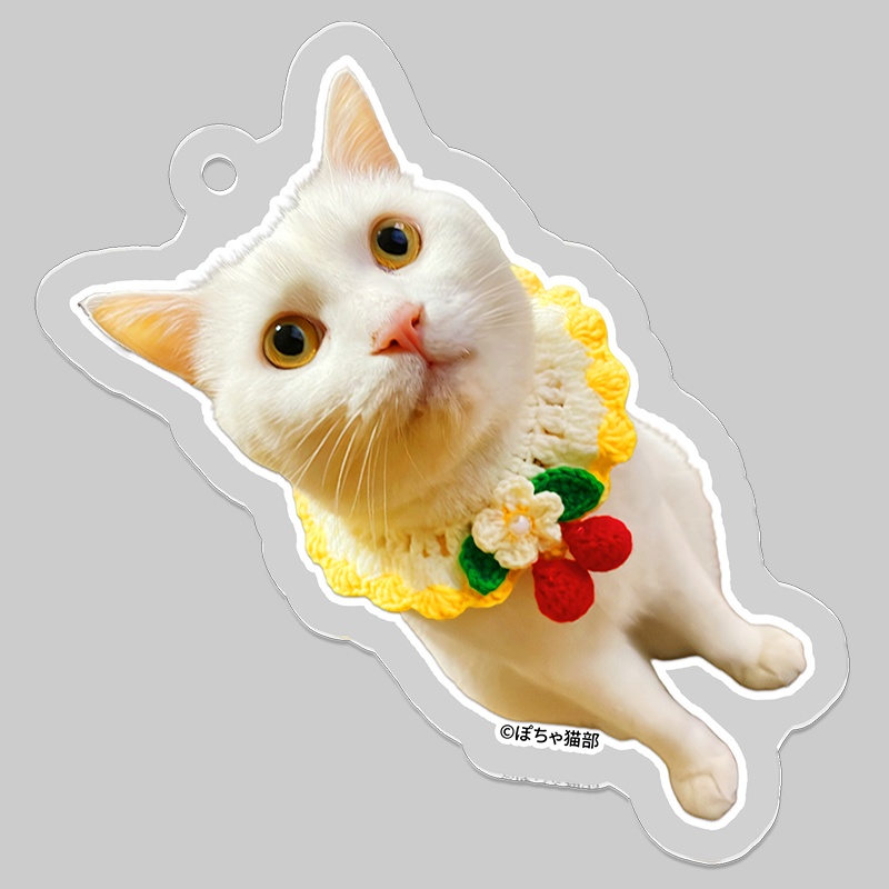 猫のむぎちゃん・アクリルキーホルダー【ぽちゃ猫部】