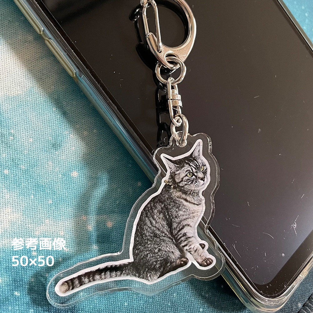 猫のそらちゃん・アクリルキーホルダー【ぽちゃ猫部】