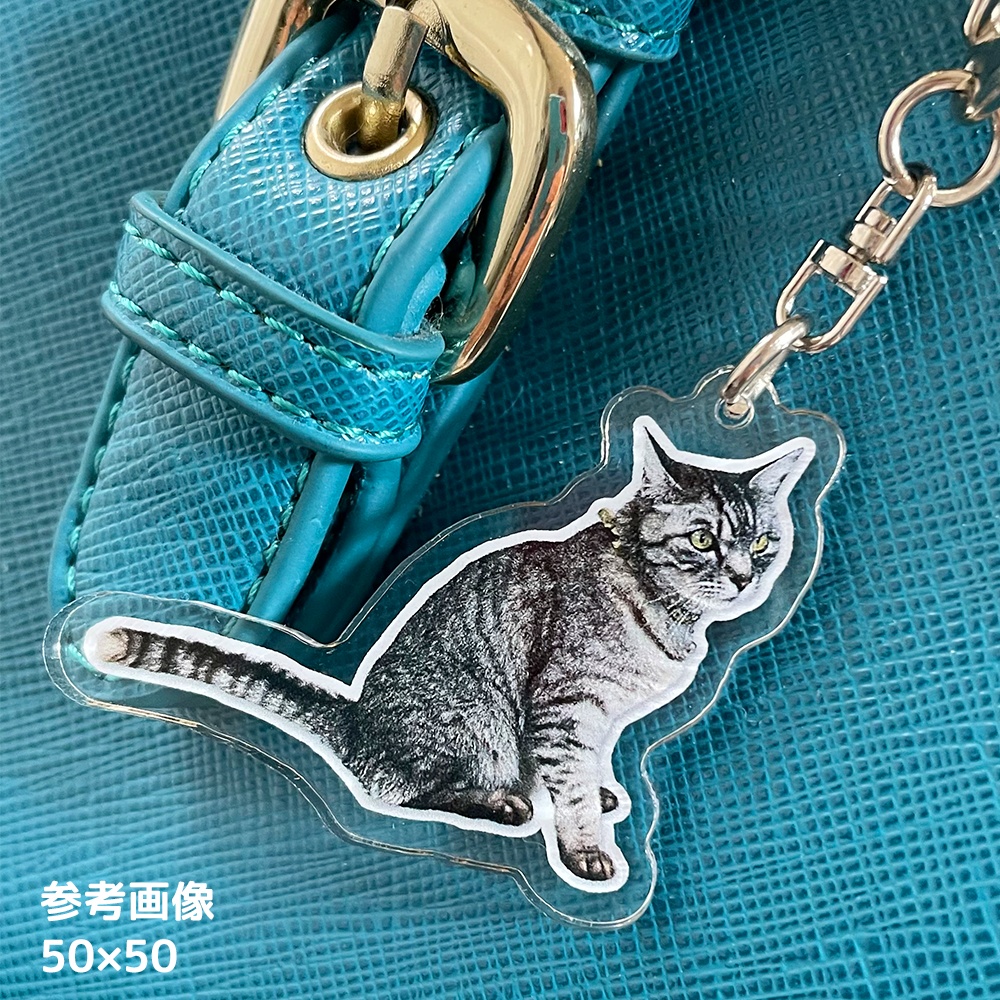 猫のそらちゃん・アクリルキーホルダー【ぽちゃ猫部】