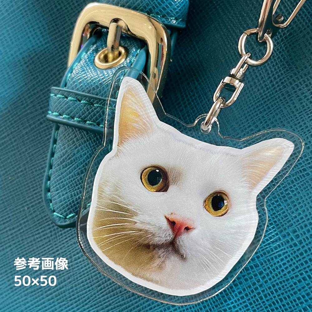むぎ アクリルキーホルダー 顔のみ アクキー 【ぽちゃ猫部】