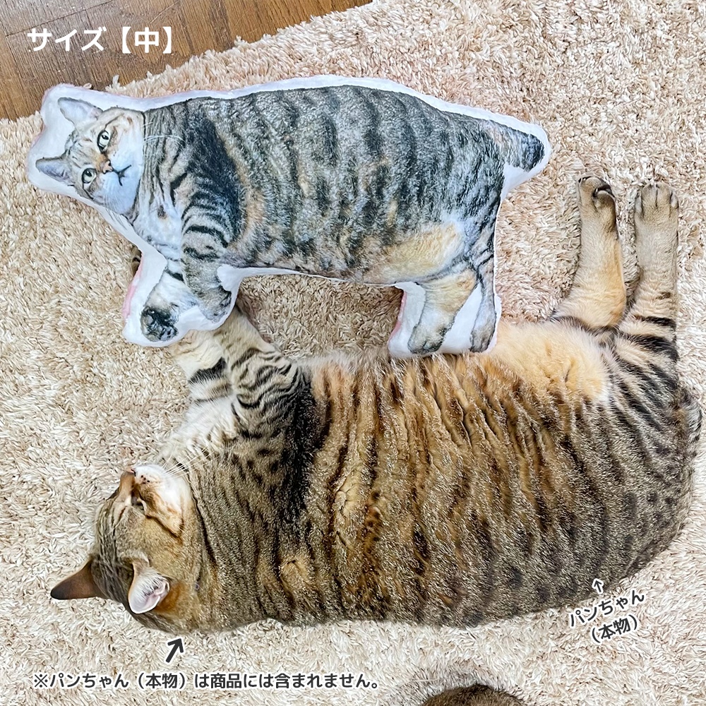 BIGパンちゃん&ぽちゃ猫部全員集合・ふかふかクッション