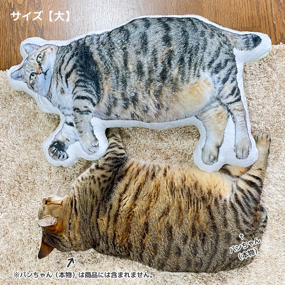 BIGパンちゃん&ぽちゃ猫部全員集合・ふかふかクッション