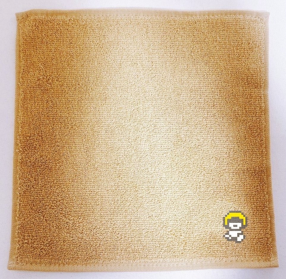 【FLOPPY】ミニタオルセット