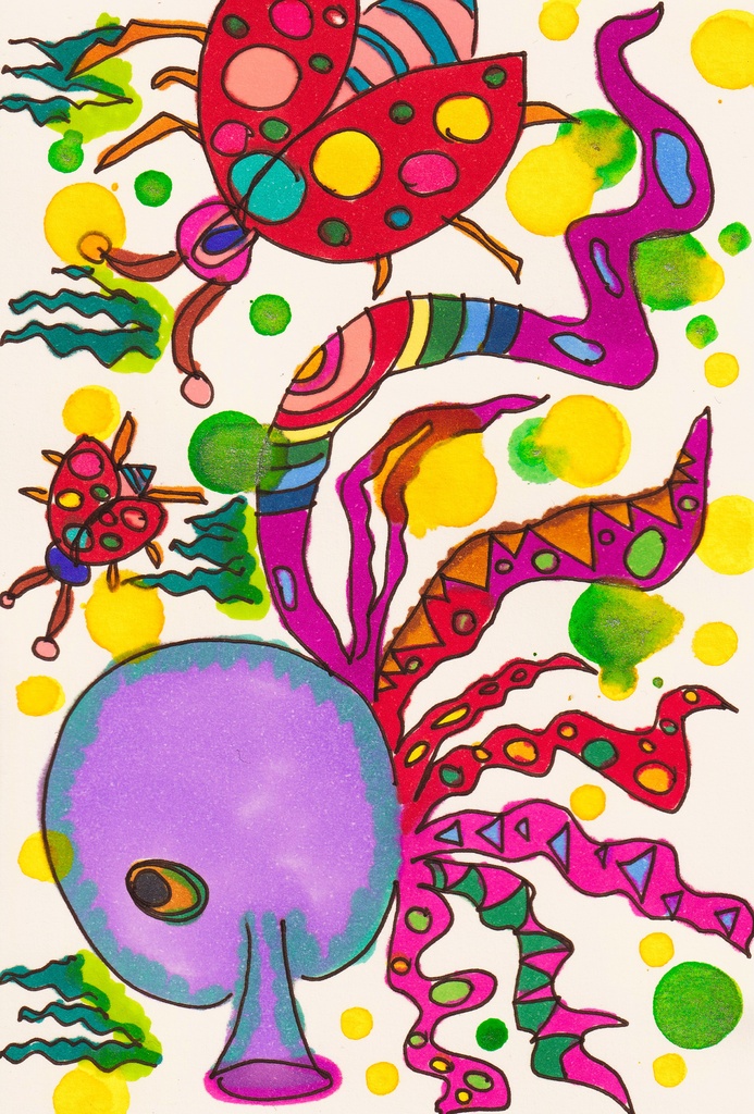 OCTOPUS🐙&LADYBUG