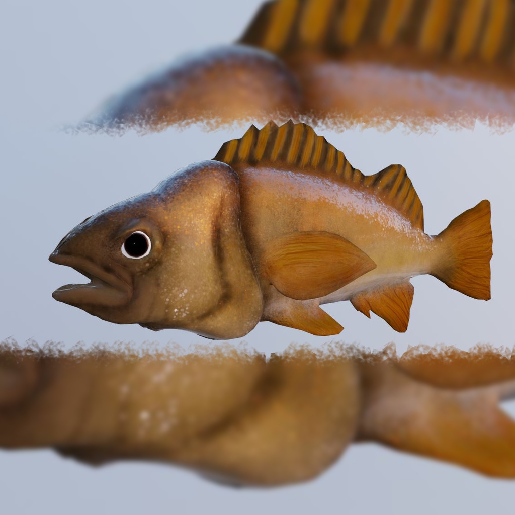 Fish rock yellow tail