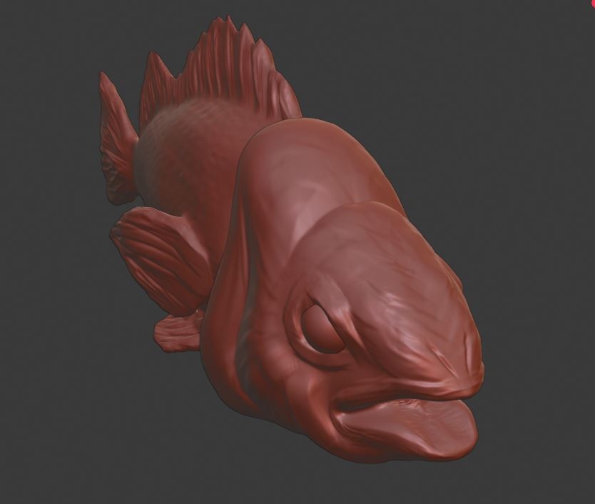 Fish rock yellow tail