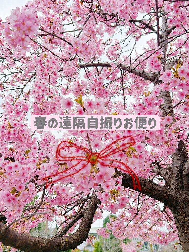 遠隔撮影おたより自撮り🌸3月版