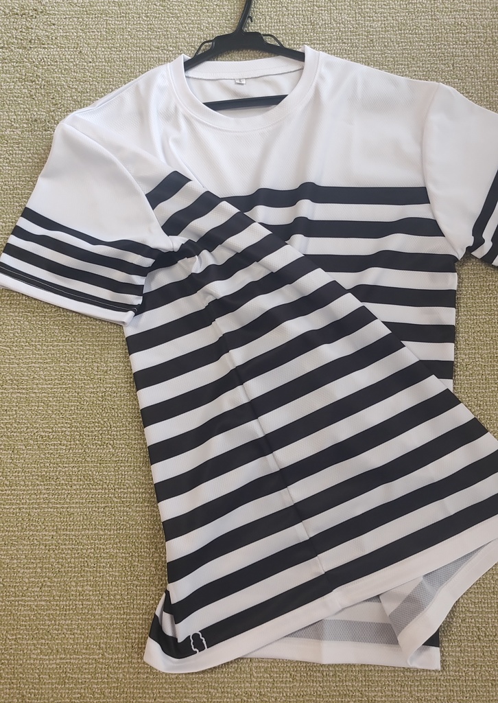 北沢志保私服Tシャツ風ボーダーシャツ