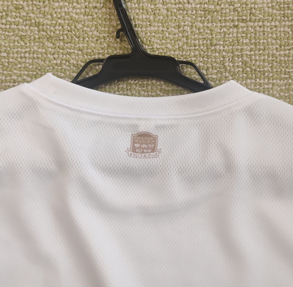 北沢志保私服Tシャツ風ボーダーシャツ