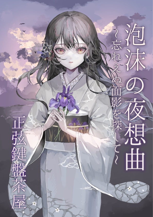 泡沫の夜想曲〜忘れえぬ面影を探して〜