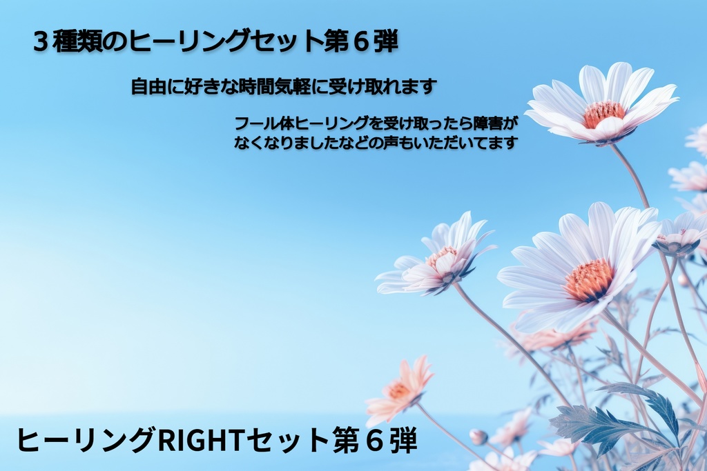 3種類以上のヒーリングセット第6弾