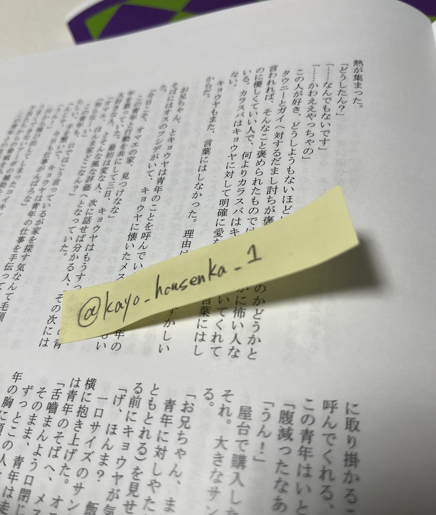 思春期カラキョウのコピー本その1