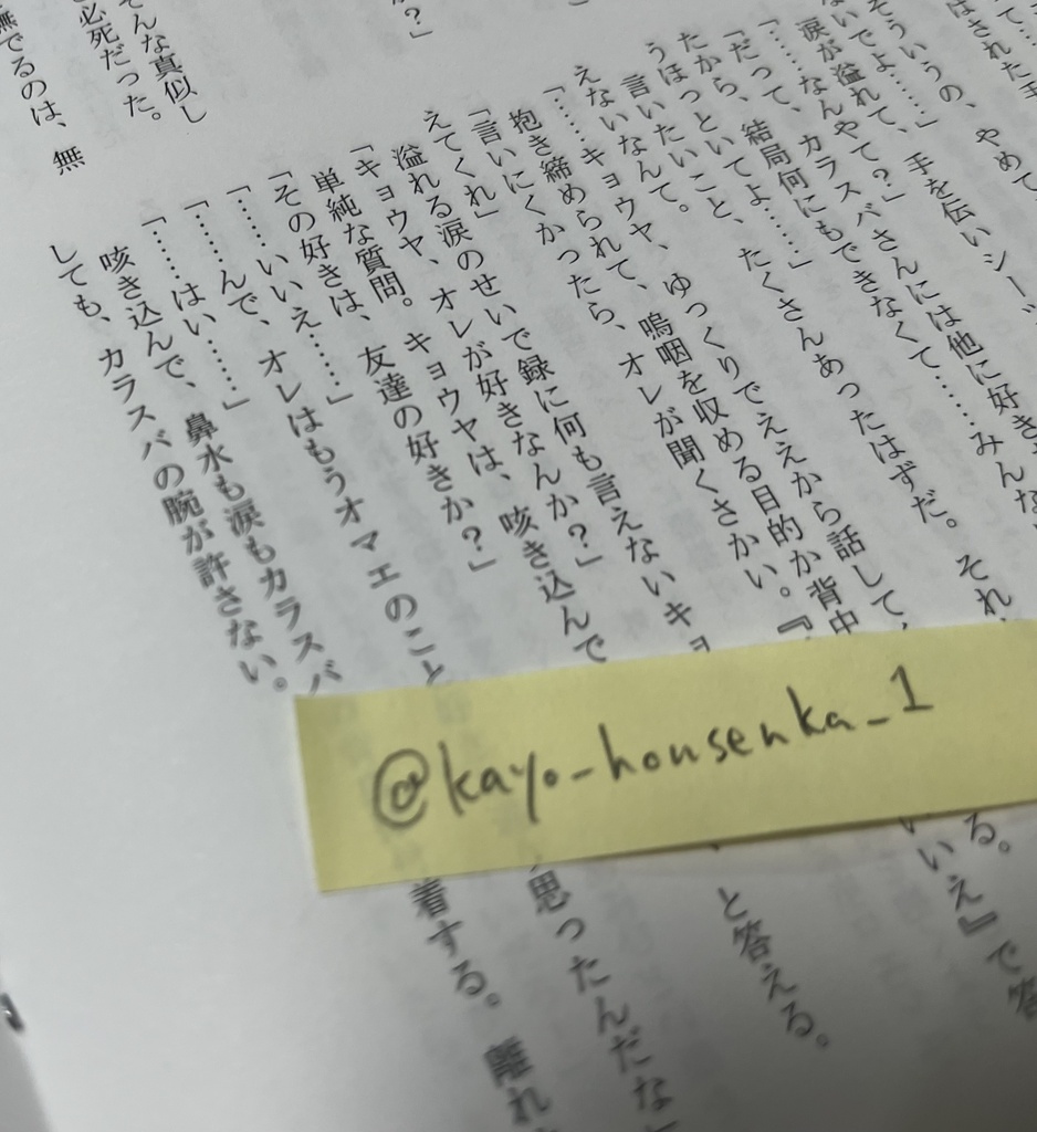 思春期カラキョウのコピー本その1