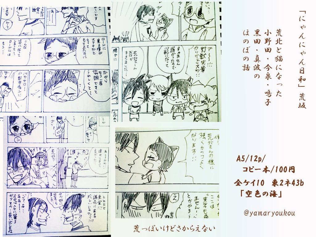 にゃんにゃん日和-荒坂