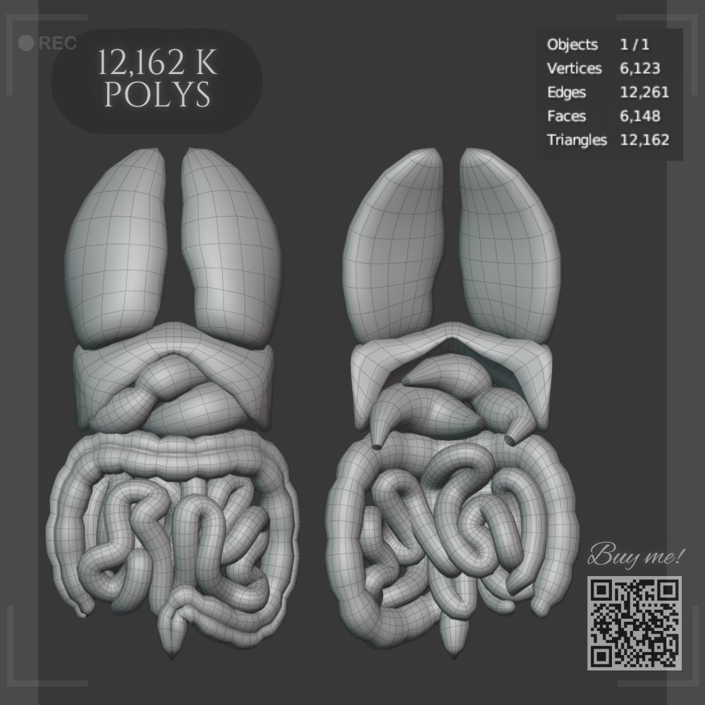 Guts - VrEgirl/Anybase - !Read description!