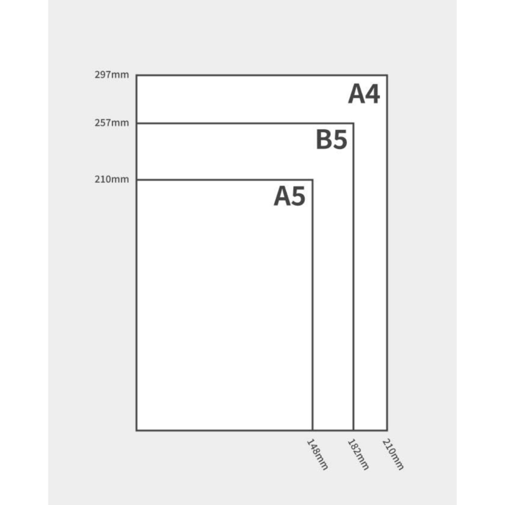 金魚 クリアファイル