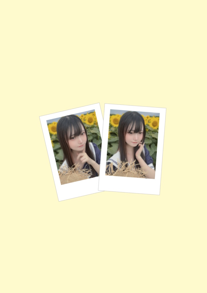 しきぶチェキ 🌻