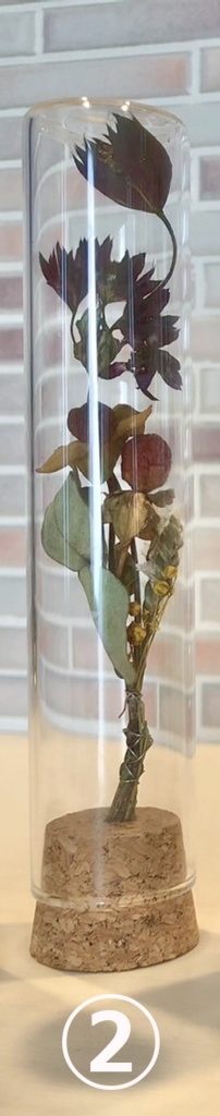 自陣イメージ［ボトルドライフラワー］②