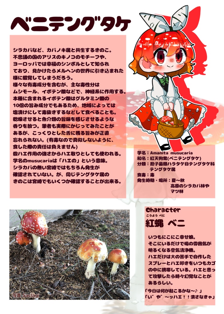 【きのこ擬人化】vol.1 宮崎ときのこ DL版あり【ソルサビラの森】