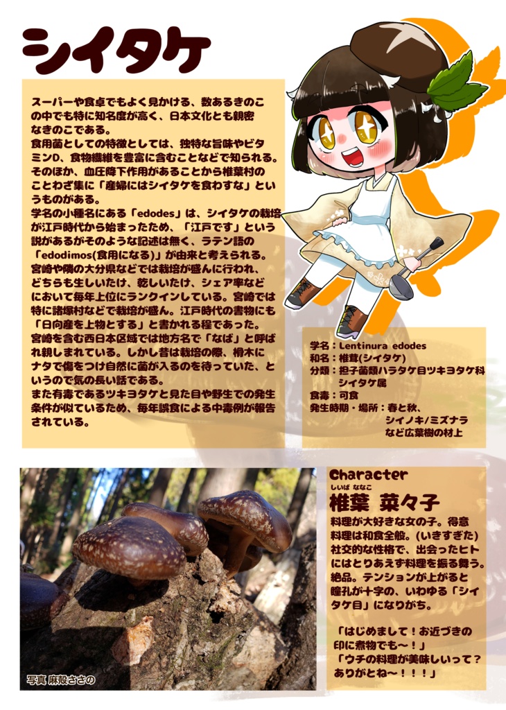 【きのこ擬人化】vol.1 宮崎ときのこ DL版あり【ソルサビラの森】