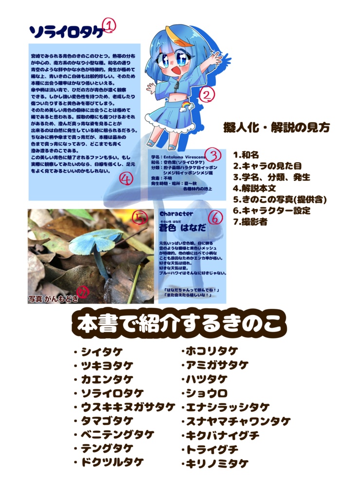 【きのこ擬人化】vol.1 宮崎ときのこ DL版あり【ソルサビラの森】