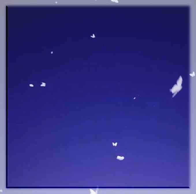 【配信用画面素材】闇夜を舞う蝶【有償】カラーバリエーションパック