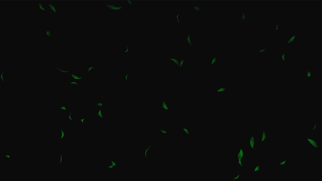 Unity Game VFX - BG Particle Effects