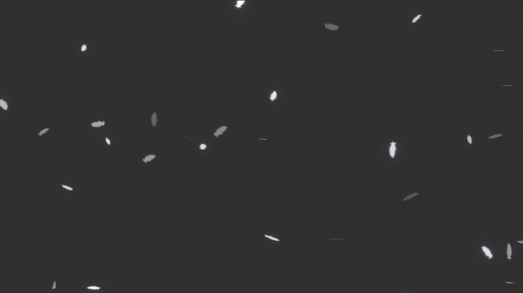 【VRChat/MA support/Quest】Environ effects / 環境効果