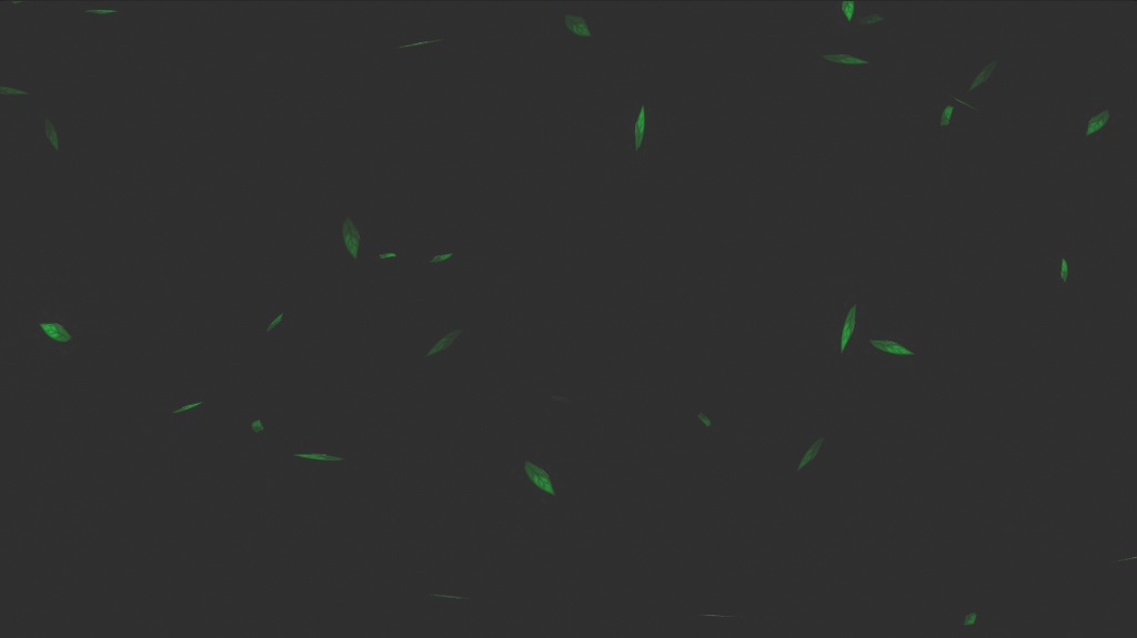 【VRChat/MA support/Quest】Environ effects / 環境効果