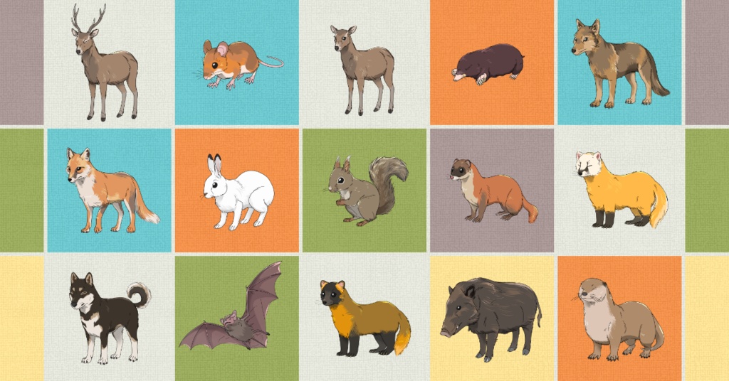 日本の陸上哺乳類+α 素材集