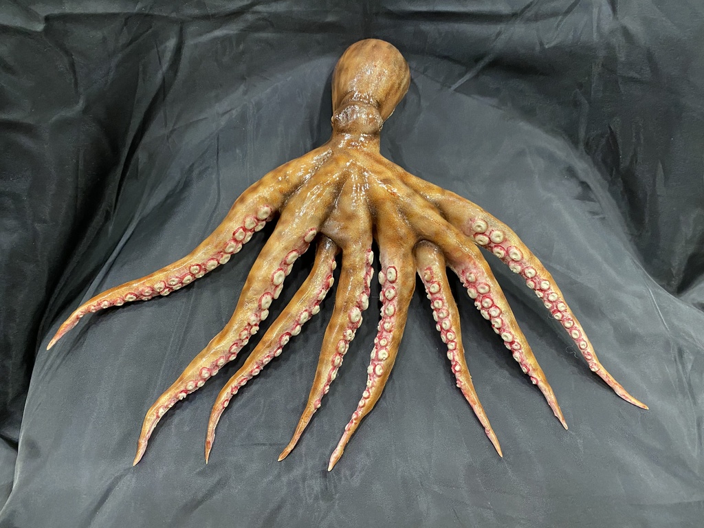 タコ