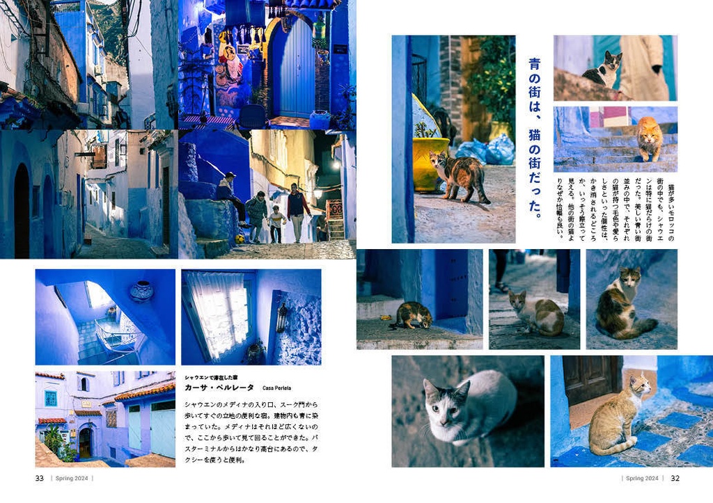 【匿名配送】『翼の共和国』Vol.1 2024年春号 特集:モロッコ マグリブの王国