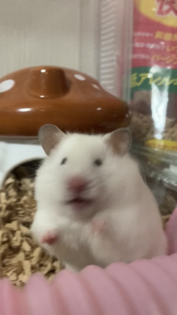 なな様びっくりTシャツ