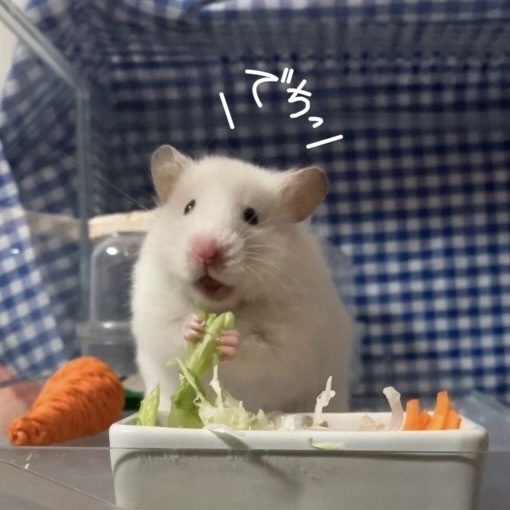 なな様うまうまTシャツ