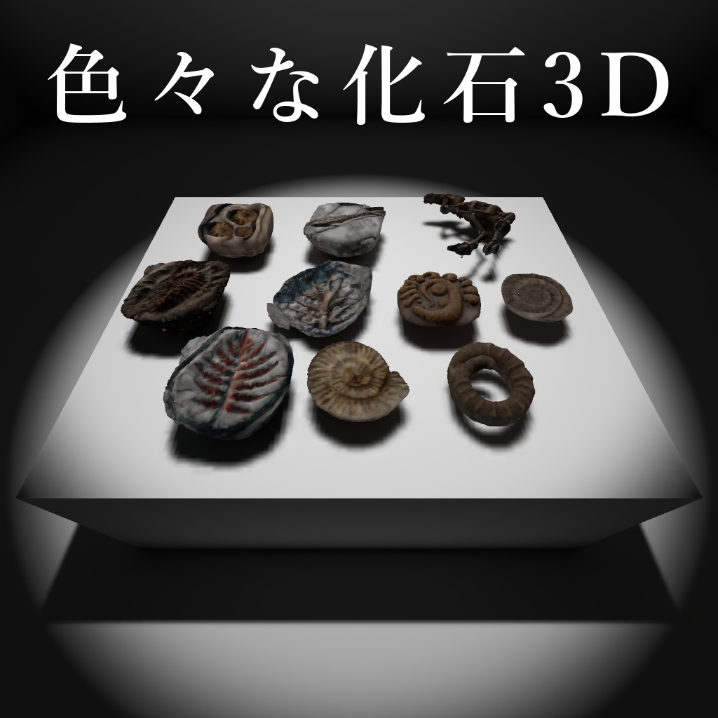 色々な化石たち3D