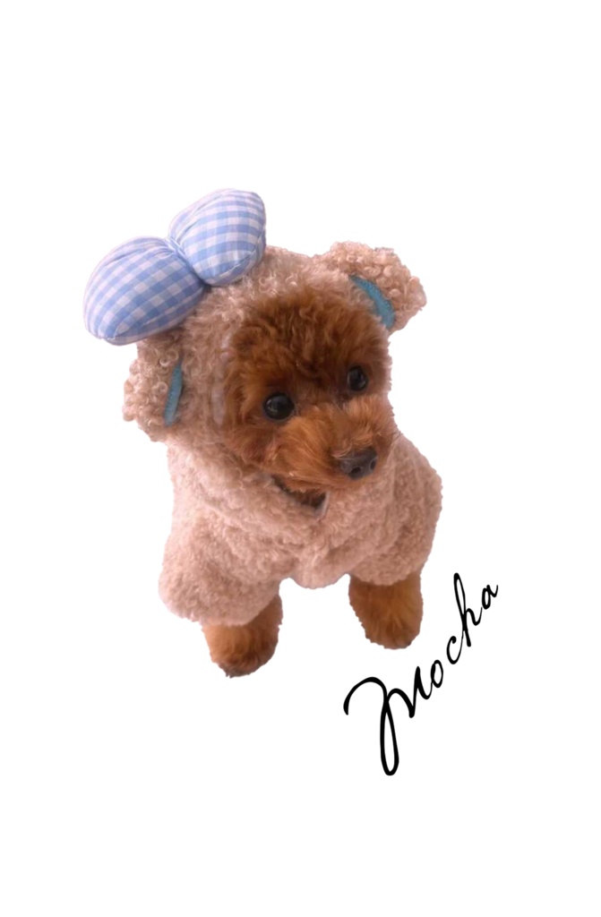 ジップアップパーカー【ver.mocha】