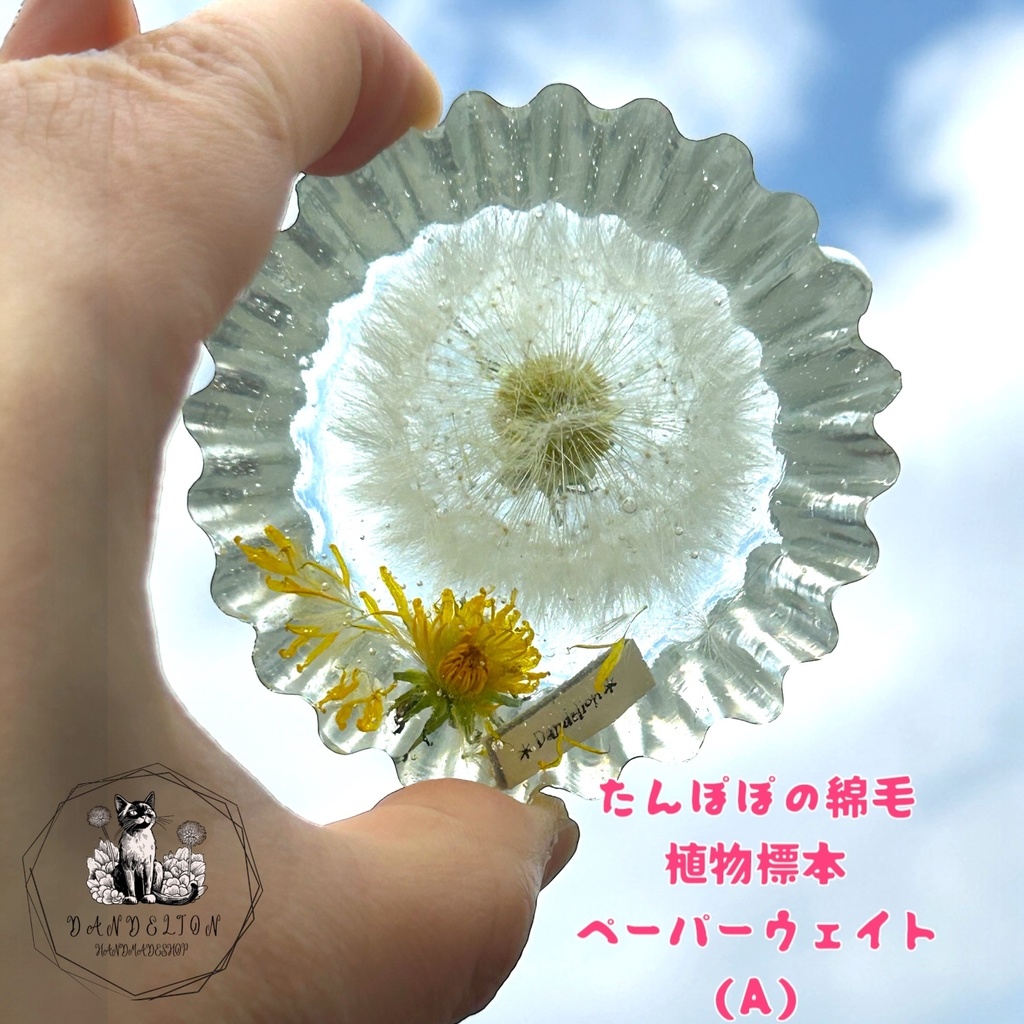 (A)たんぽぽの綿毛花びら入り植物標本 インテリア 置物2液性レジン ハンドメイド 観賞 ドライフラワー ペーパーウェイト