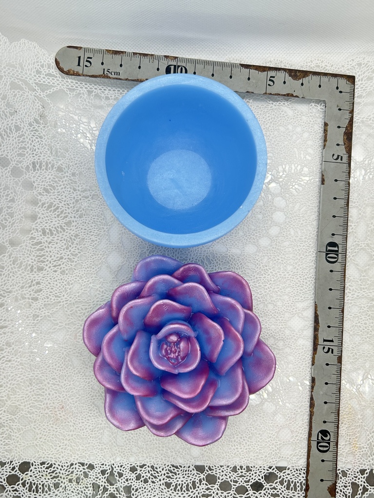 エケベリア風小物入水色×ピンクBアクセサリーケース インテリア 多肉植物 置物 プレゼントや贈り物に 2液レジン ハンドメイド