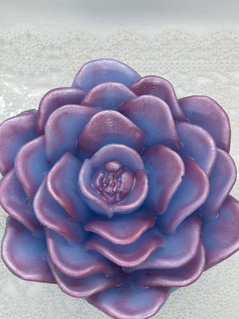 エケベリア風小物入水色×ピンクBアクセサリーケース インテリア 多肉植物 置物 プレゼントや贈り物に 2液レジン ハンドメイド